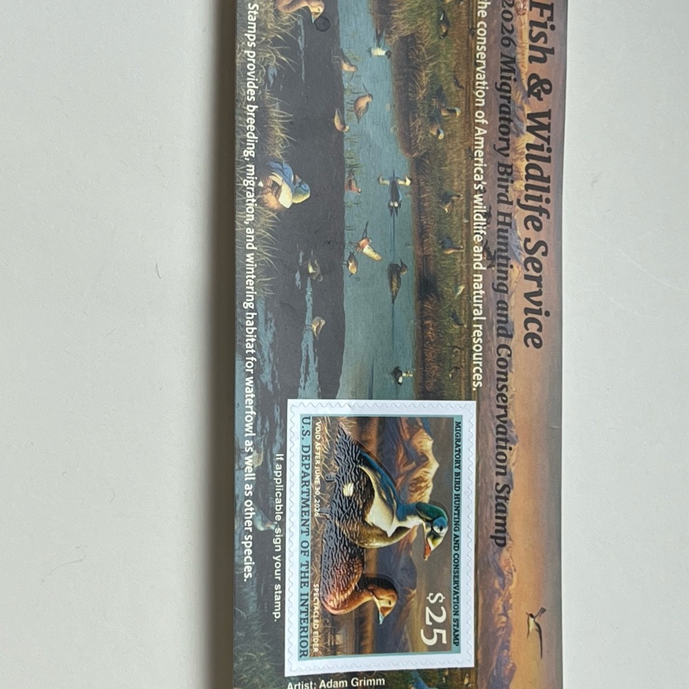 Duck Stamp with Scenic Wildlife Design